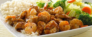 Teriyaki Lunch Combo